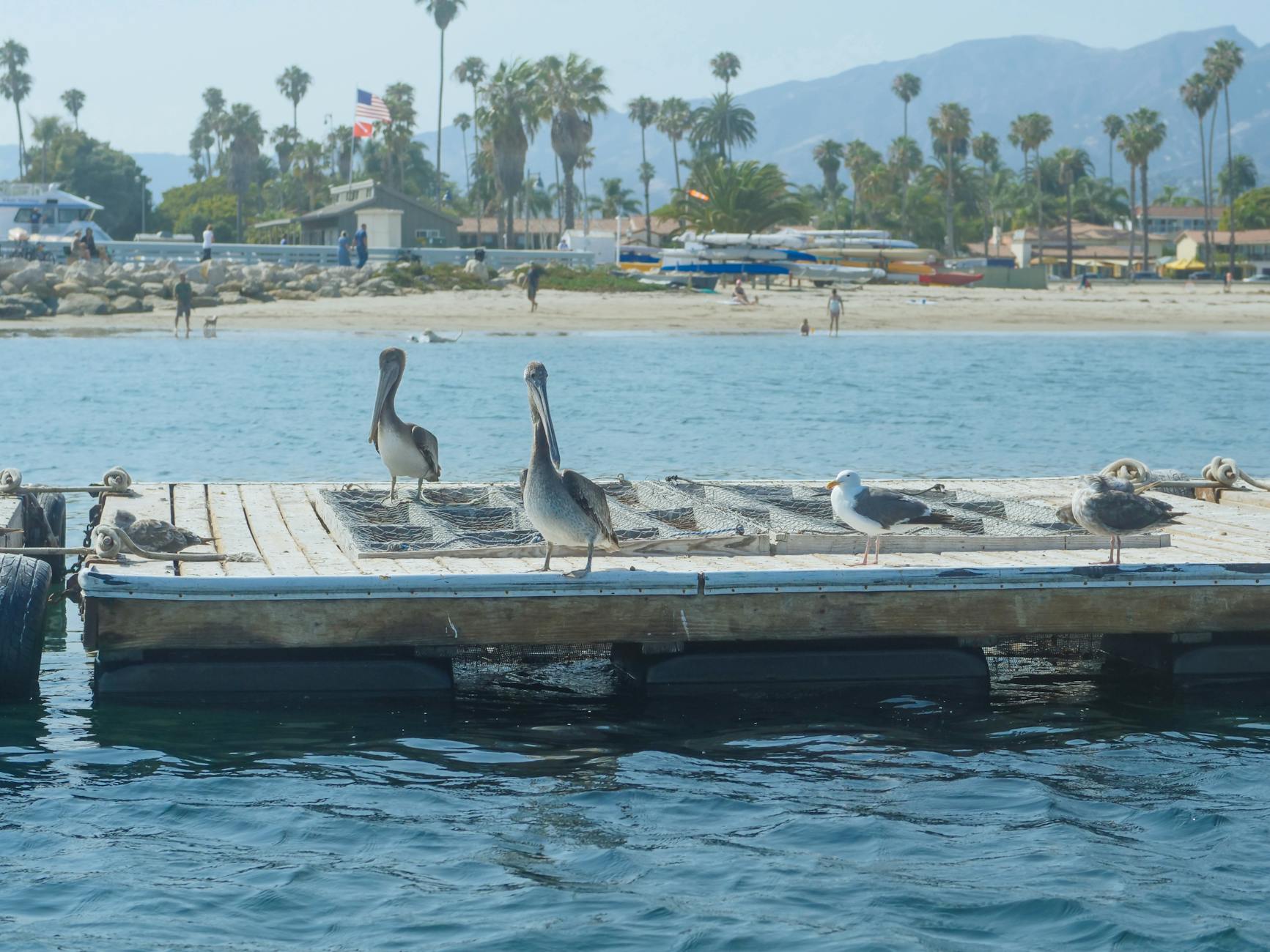 Travel Inspiration: Santa Barbara, California